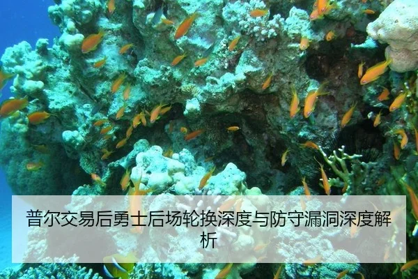 普尔交易后勇士后场轮换深度与防守漏洞深度解析