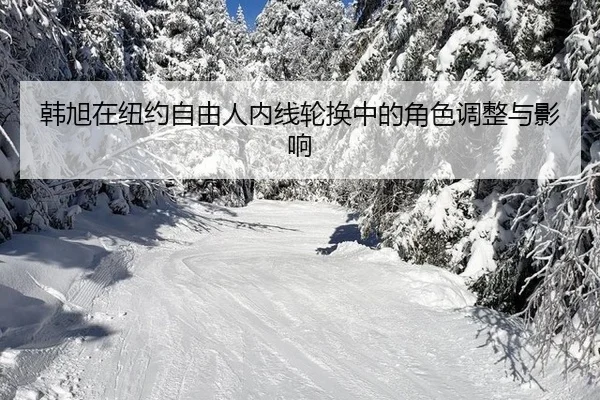 han-xu-zai-niu-yue-zi-you-ren-nei-xian-lun-huan-zhong-de-jue-se-tiao-zheng-yu-ying-xiang-3-741.jpg