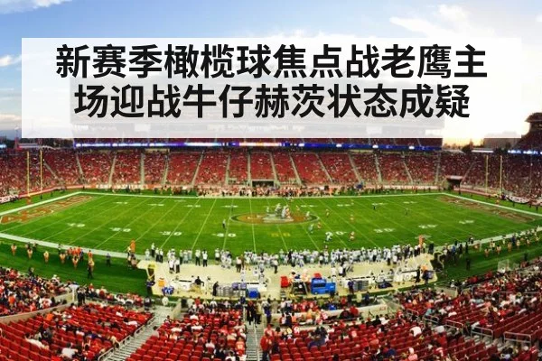American football stadium crowd