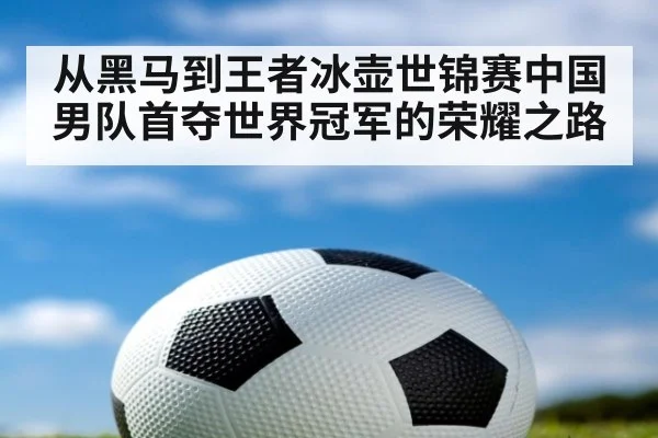 从黑马到王者冰壶世锦赛中国男队首夺世界冠军的荣耀之路