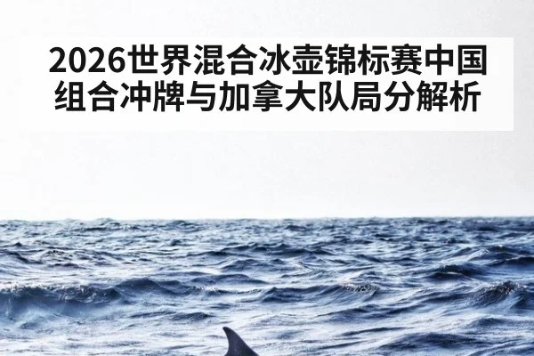 2026世界混合冰壶锦标赛中国组合冲牌与加拿大队局分解析